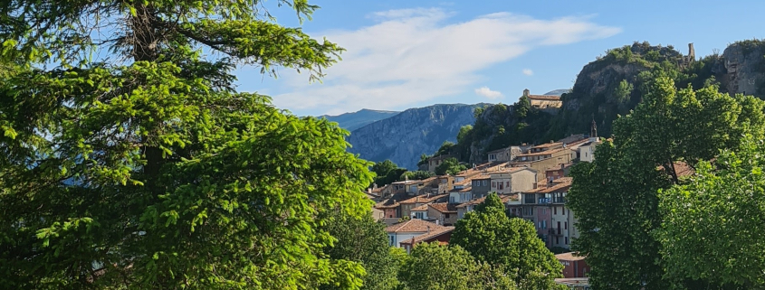 village voeux 2022